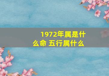 1972年属是什么命 五行属什么